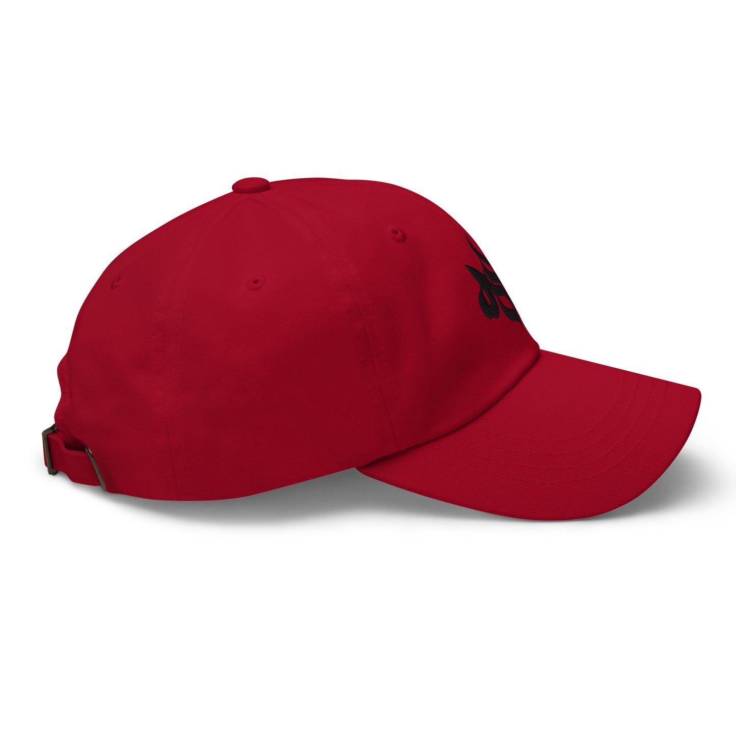 Storm Matrix Shadow Dad hat