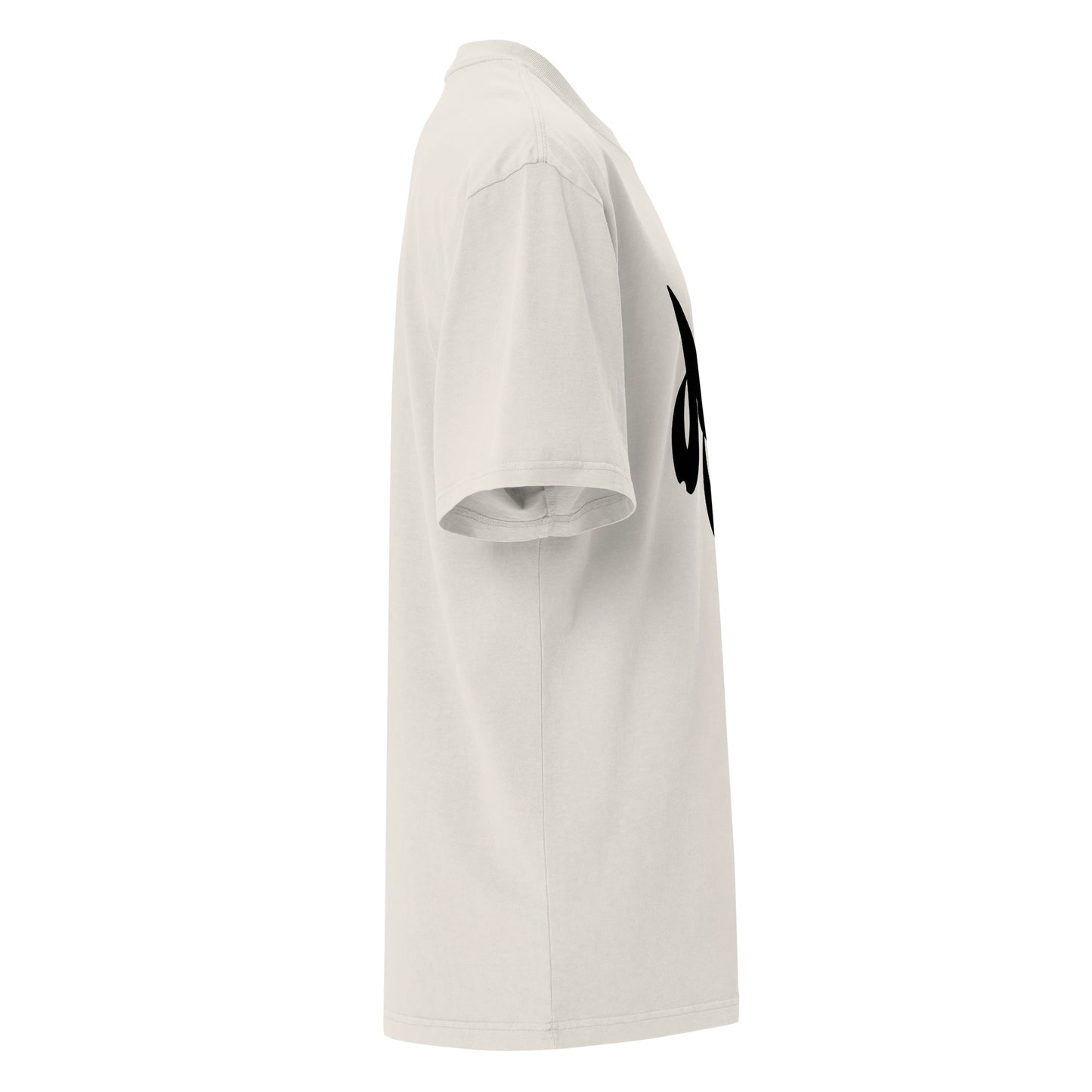 Storm Matrix Oversized faded t-shirt