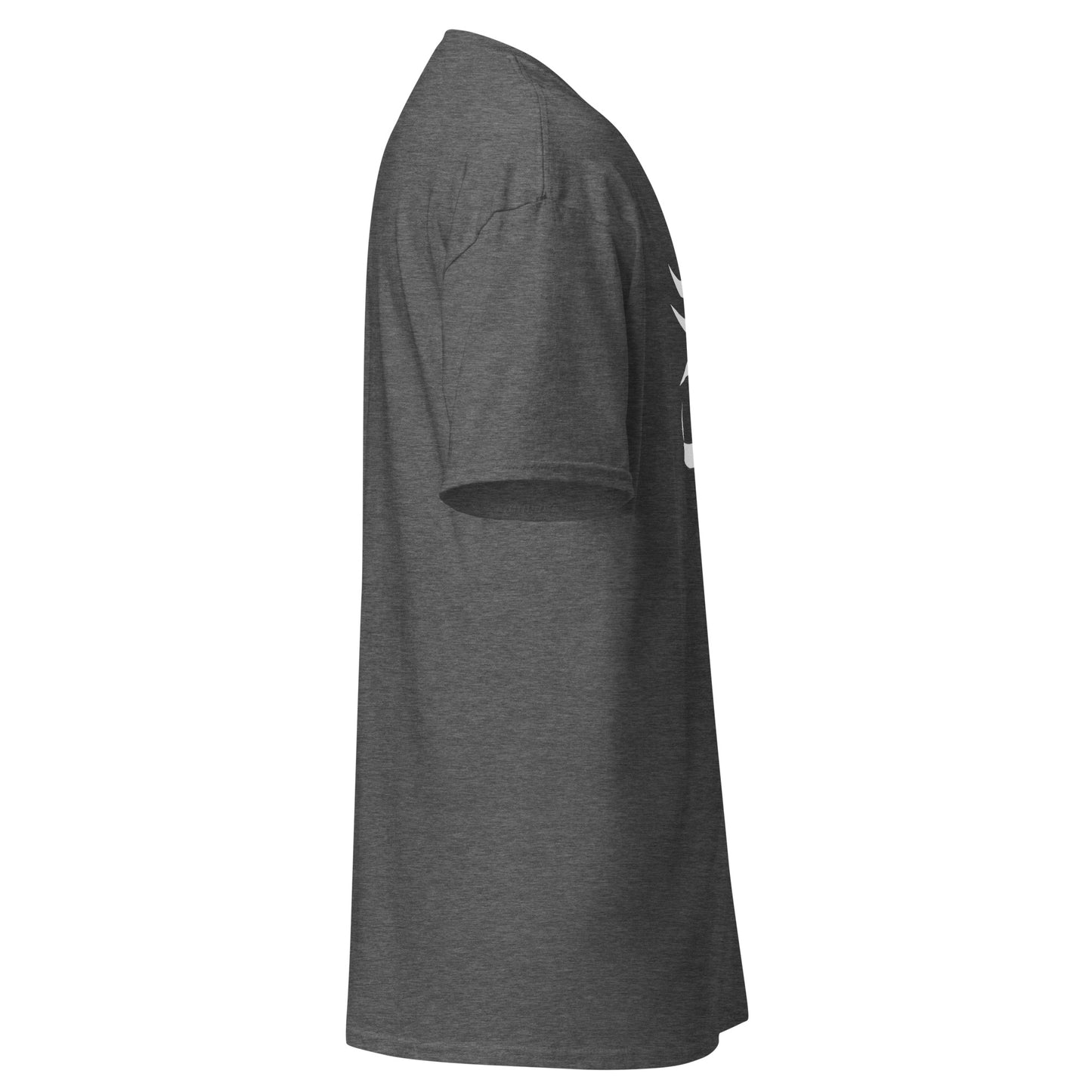 Ra Vision Unisex classic tee