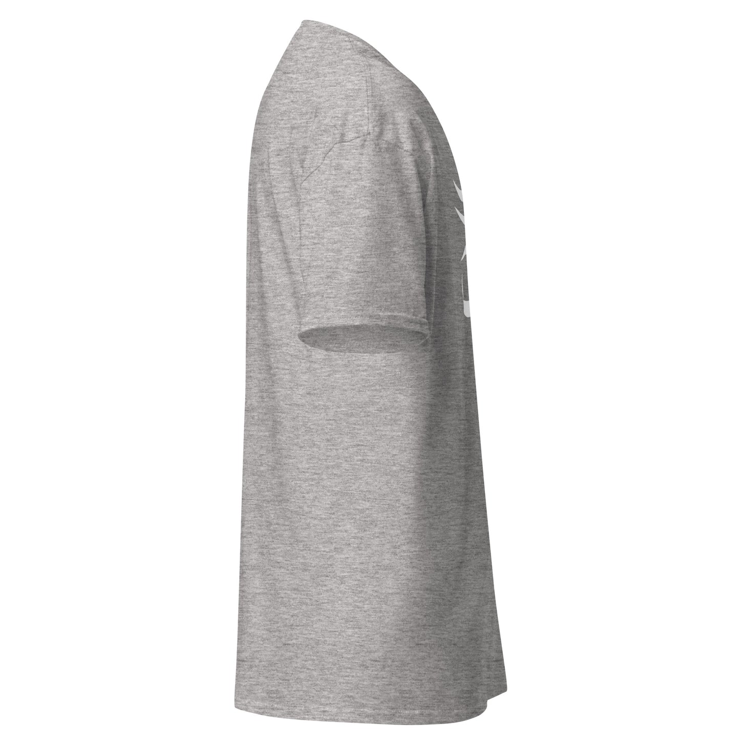 Ra Vision Unisex classic tee