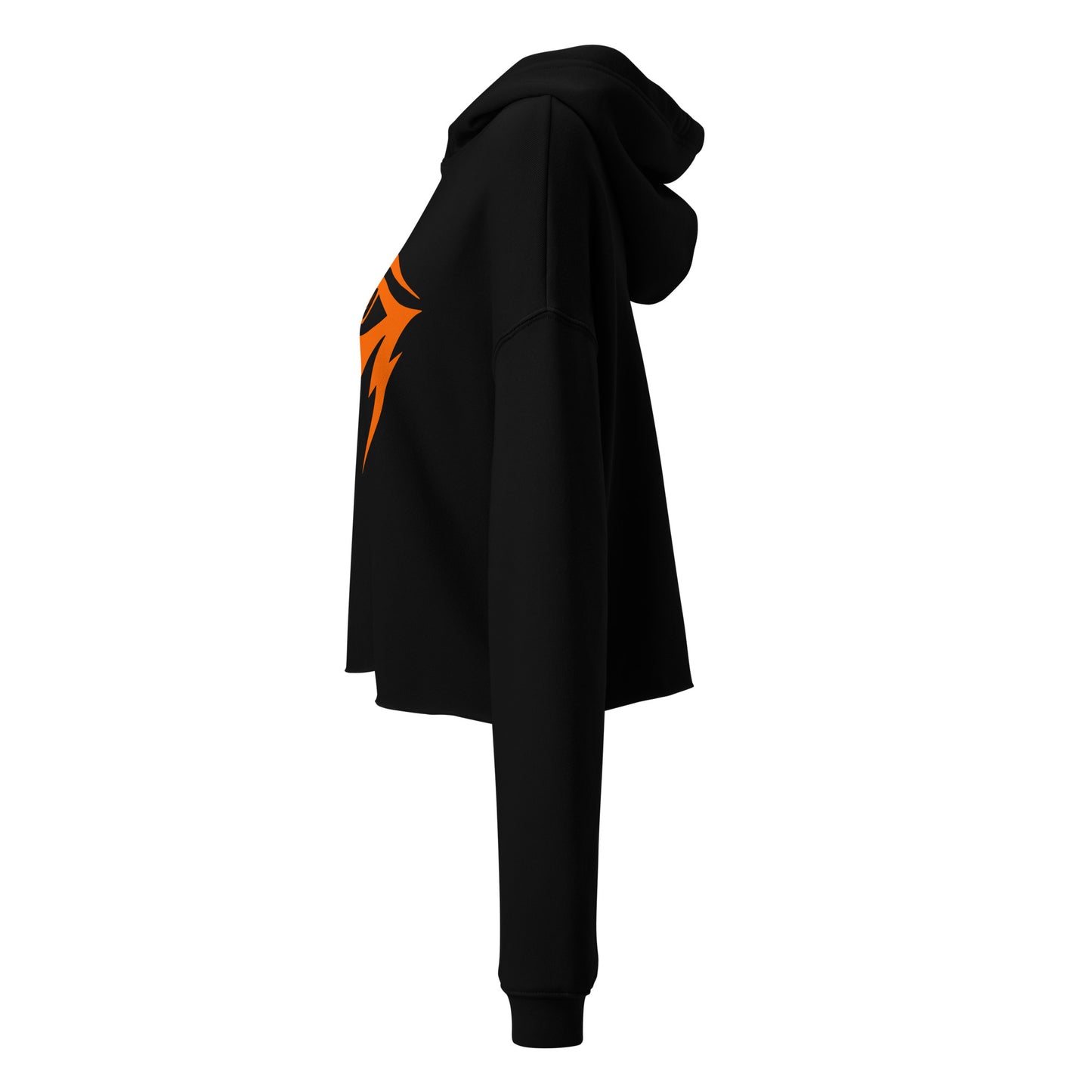 Ra Blaze Vision Crop Hoodie