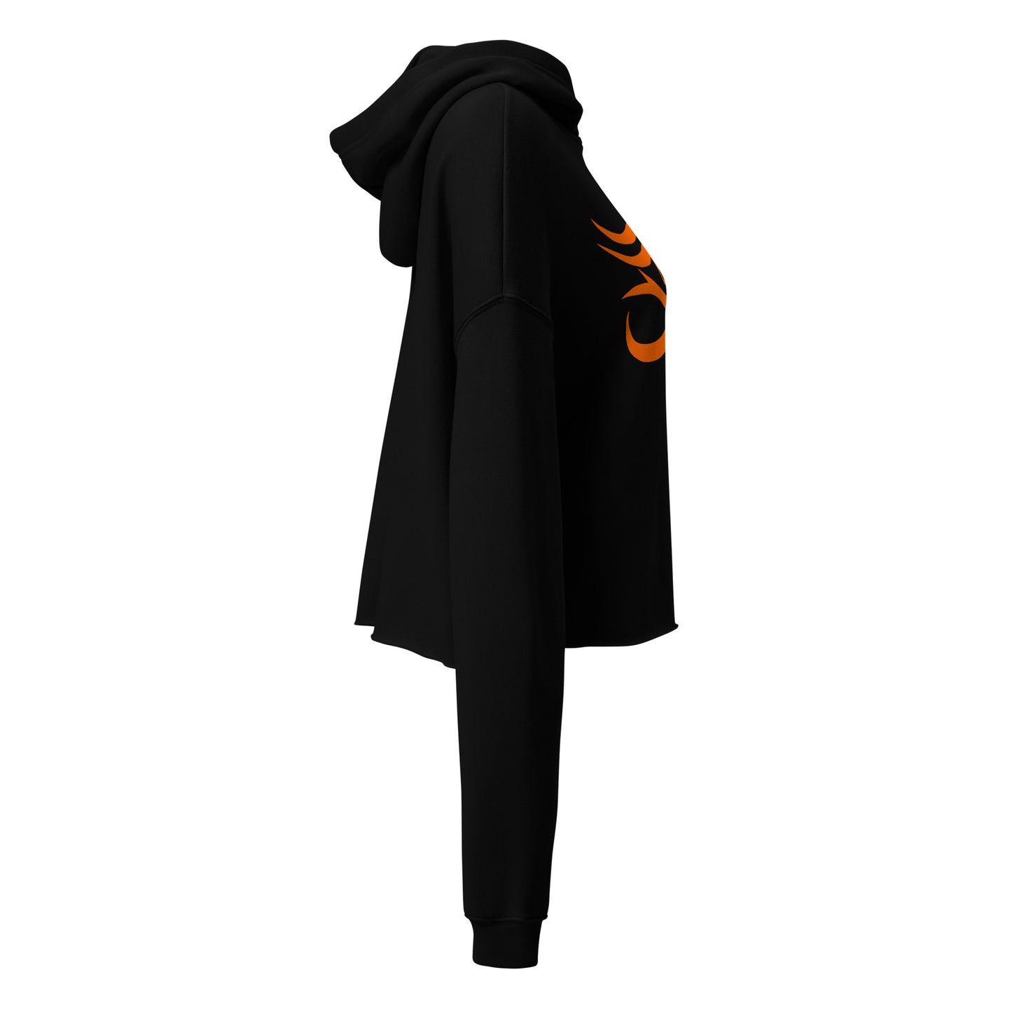 Ra Blaze Vision Crop Hoodie