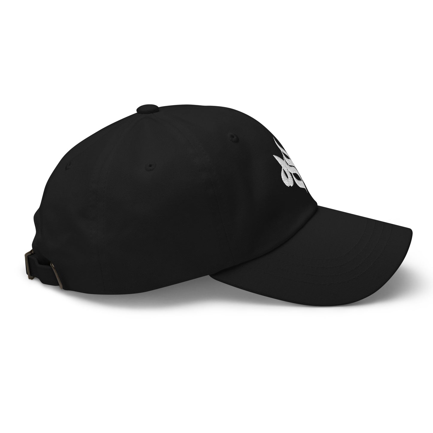 Storm Matrix Ghost Dad hat