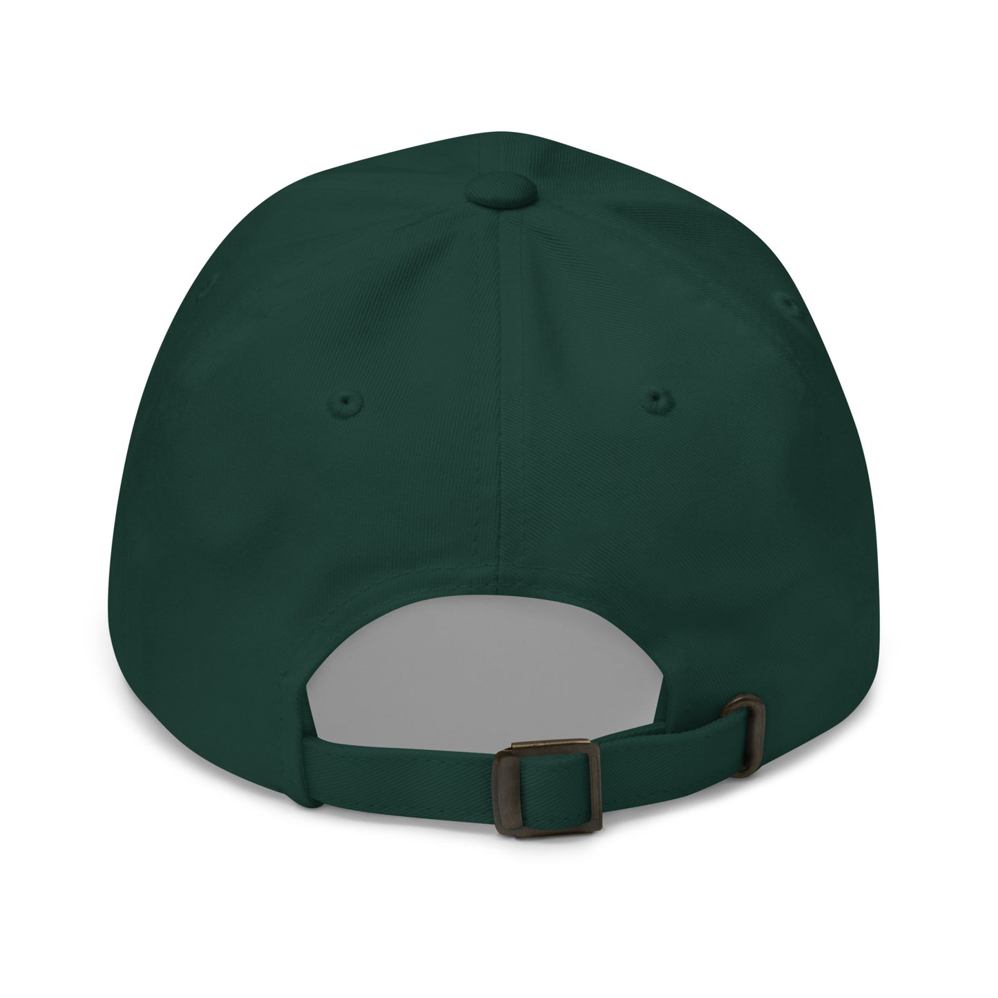 Storm Matrix Ghost Dad hat