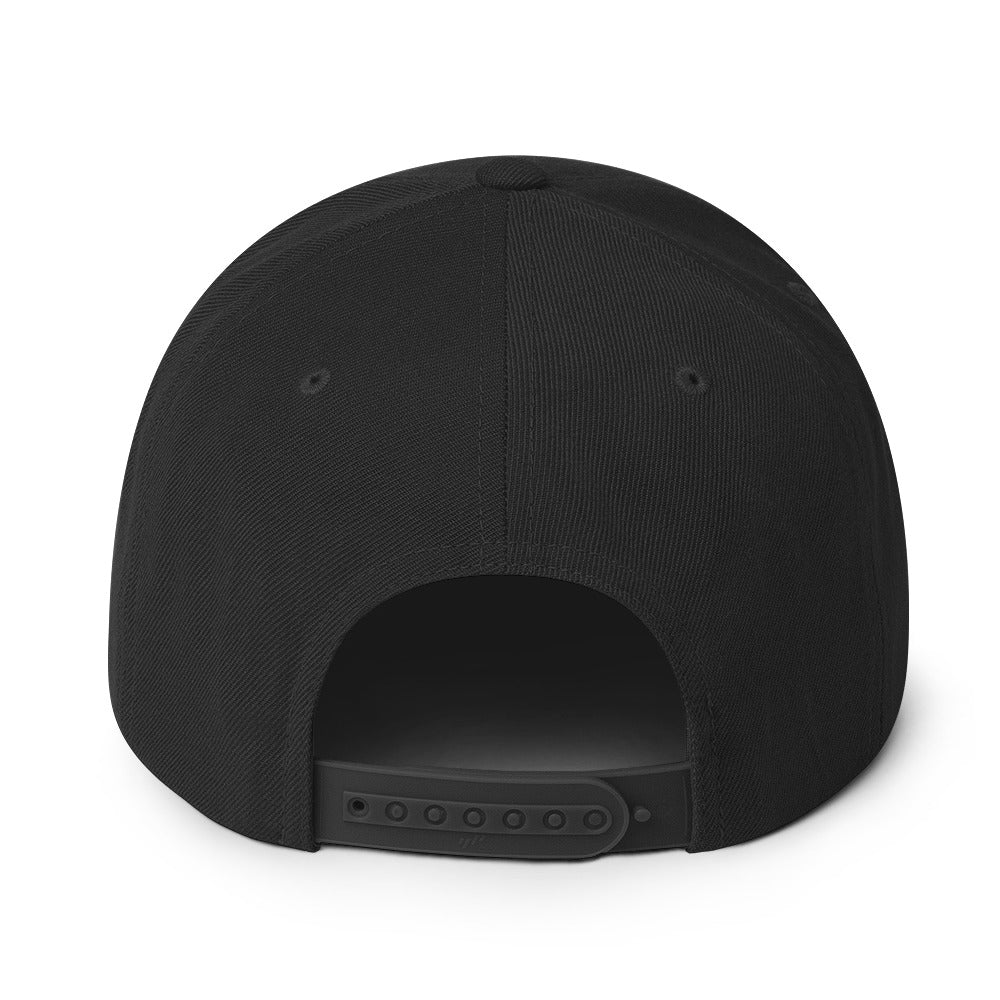 Storm Matrix Blaze Snapback Hat