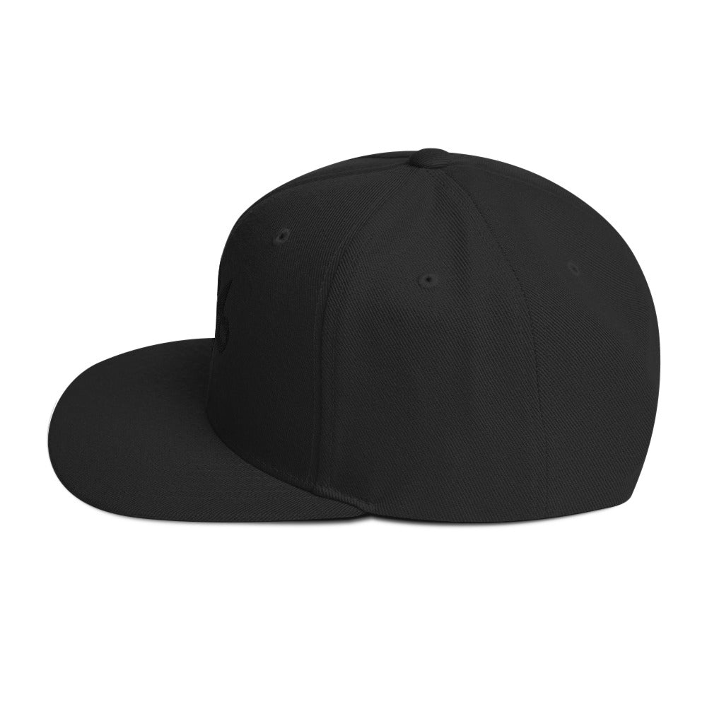 SM: Storm Matrix Snapback Hat