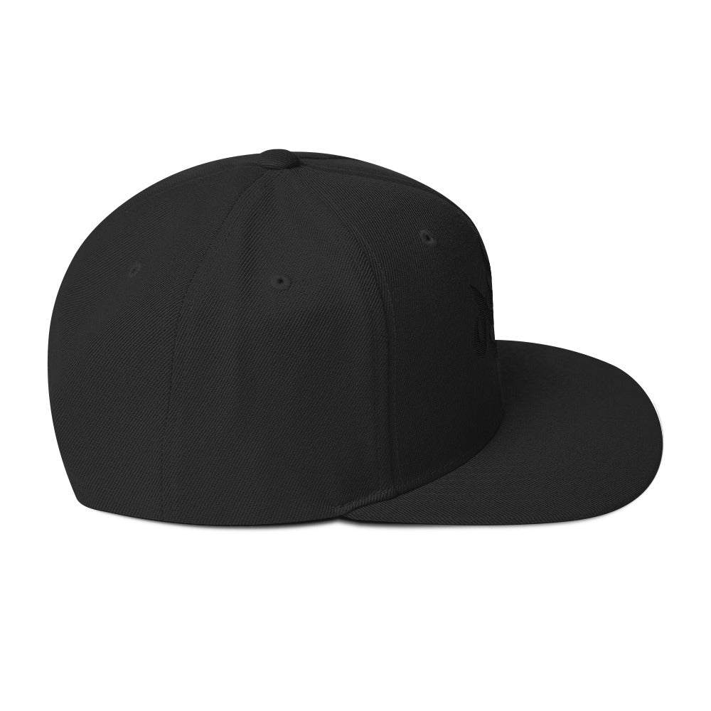 SM: Storm Matrix Snapback Hat