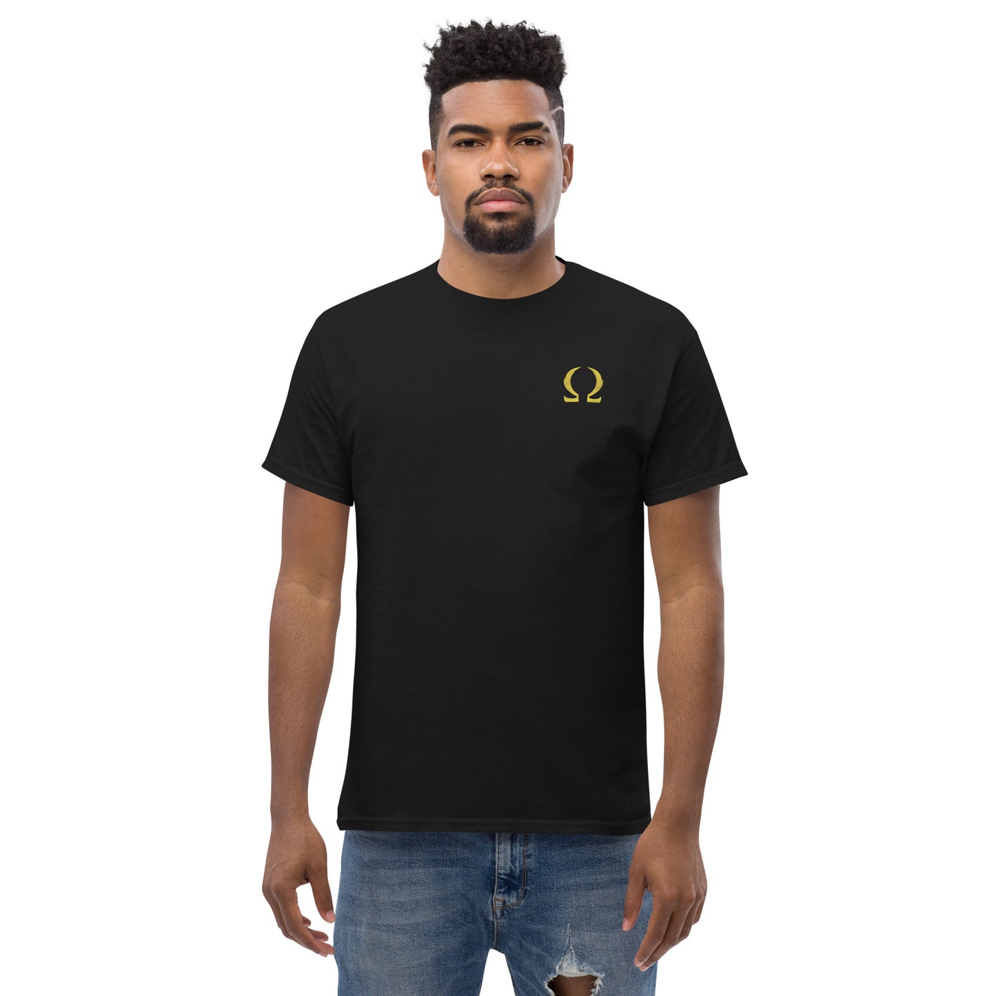 Destiny 369 Sovereignty Era Men's classic tee