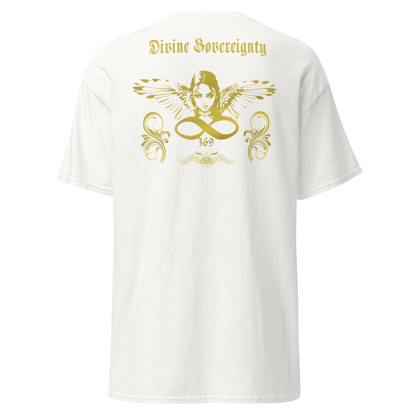 Destiny 369 Sovereignty Era Men's classic tee