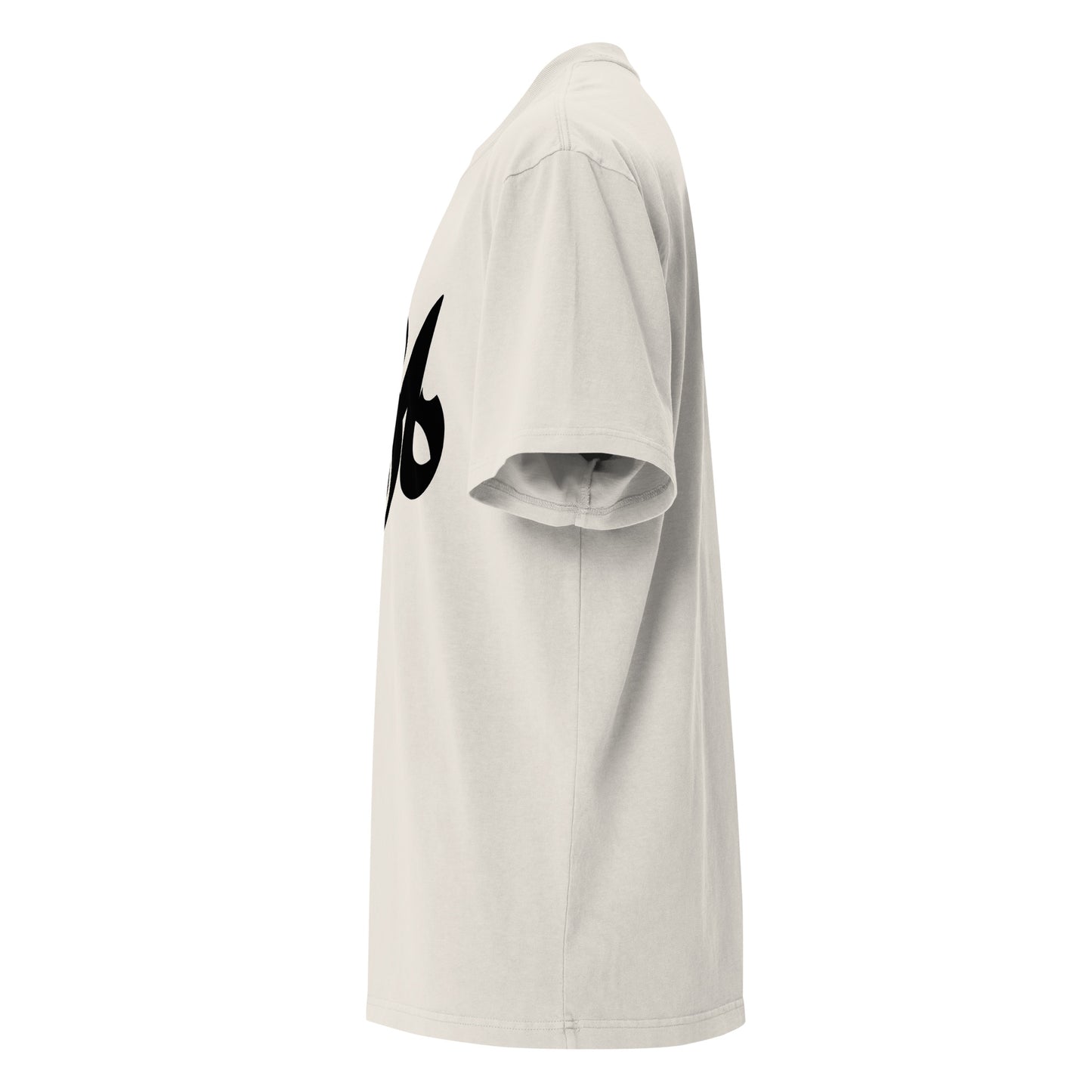 Storm Matrix Oversized faded t-shirt