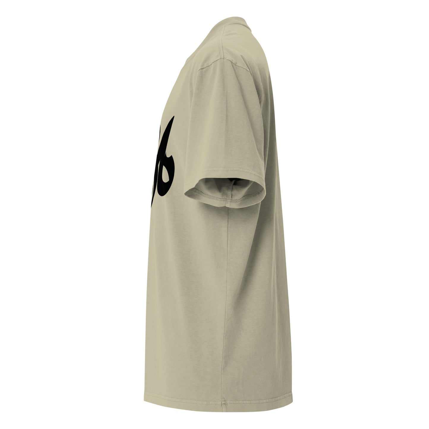 Storm Matrix Oversized faded t-shirt