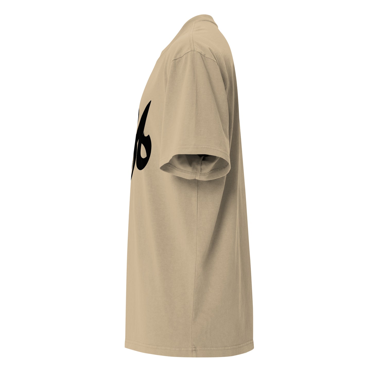 Storm Matrix Oversized faded t-shirt