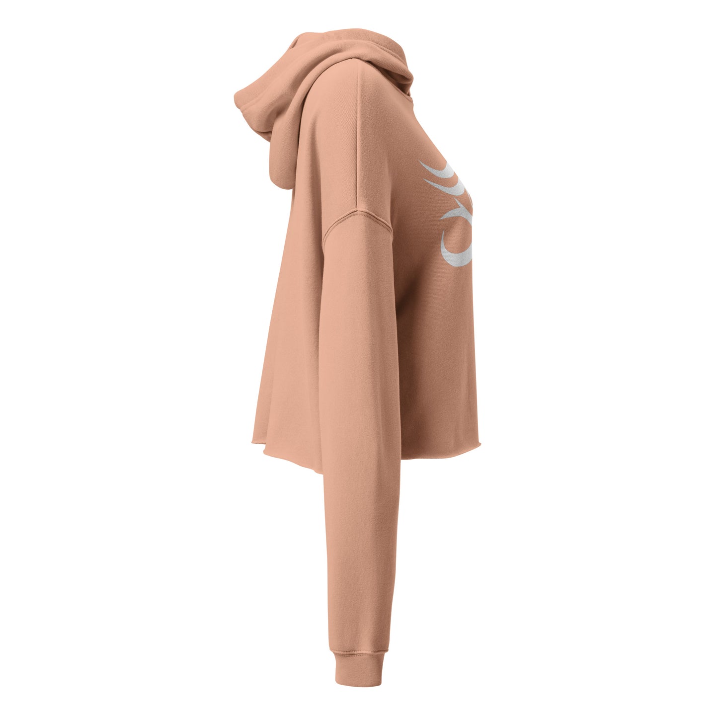 Ra Vision Crop Hoodie