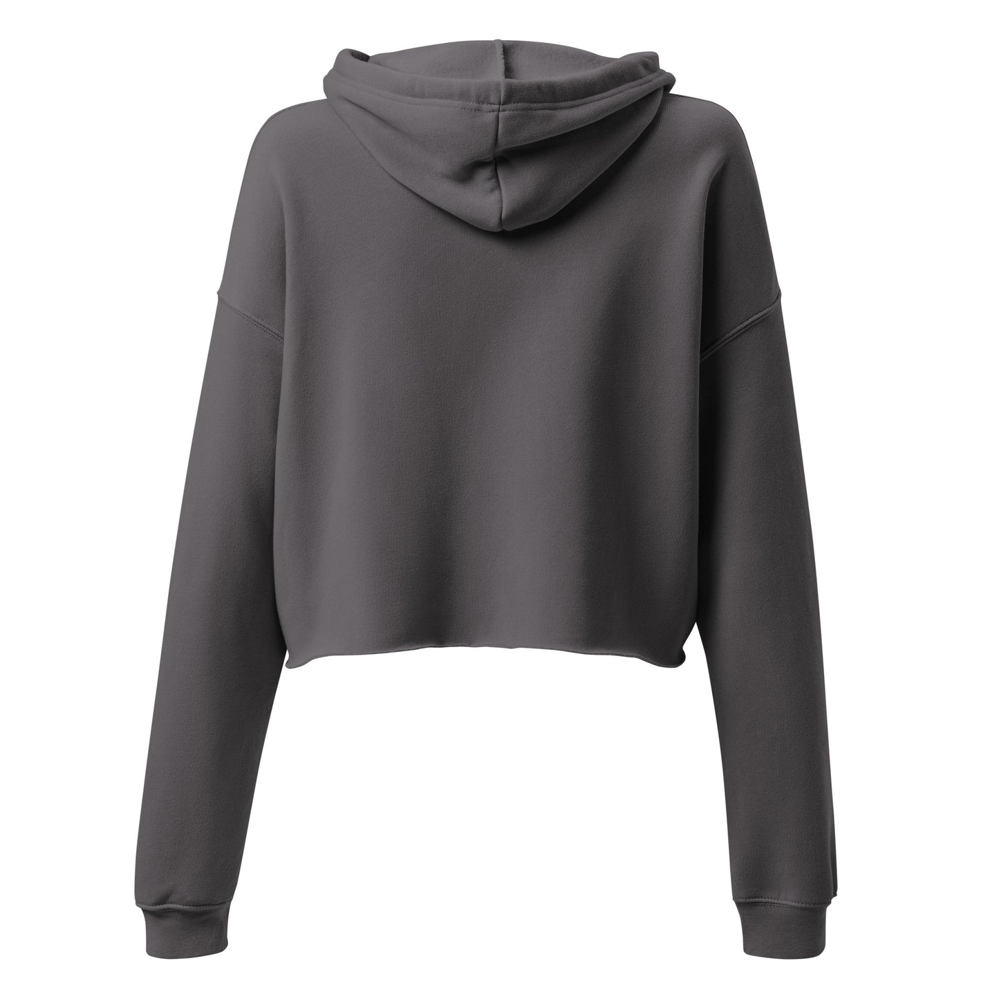 Ra Vision Crop Hoodie